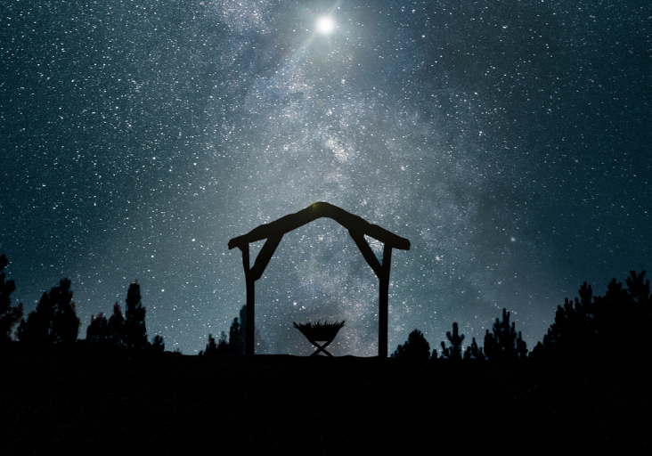 Nativity Scene Night Sky Article