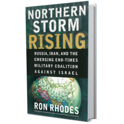 Northern Storm Rising - Book