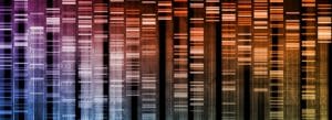 How Does DNA Code Support Intelligent Design?